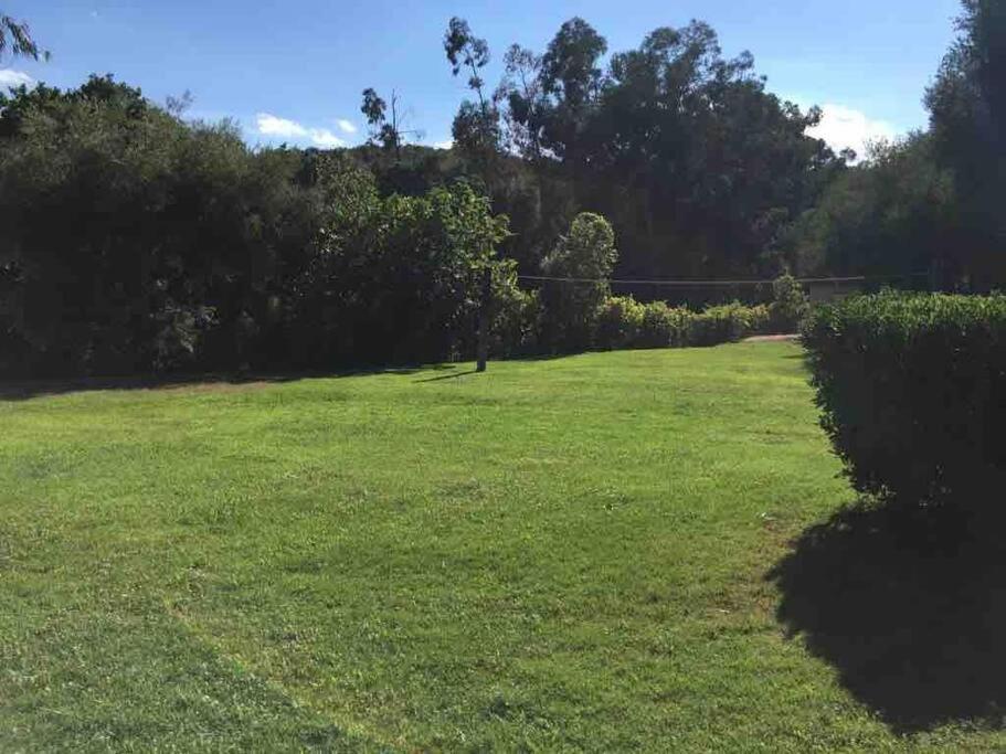 Apartment Solenzara- 5 Personnes Vue Dans Avec Piscine Sari-Solenzara