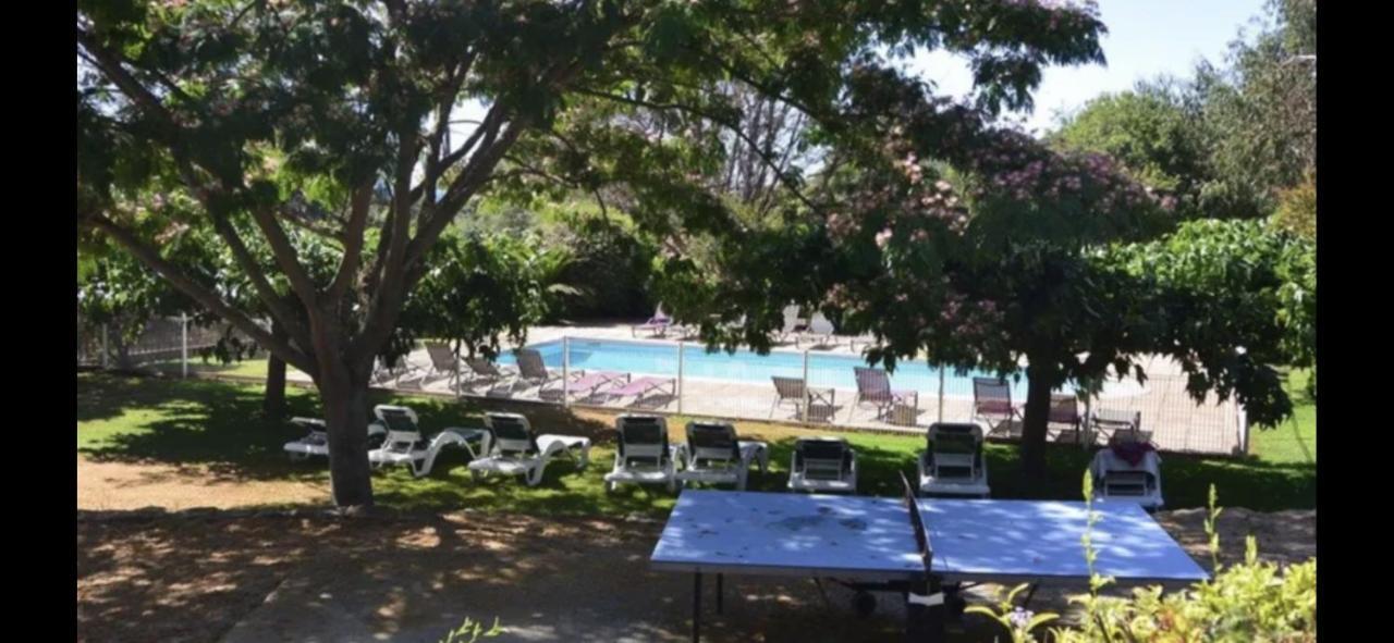 Apartment Solenzara- 5 Personnes Vue Dans Avec Piscine
