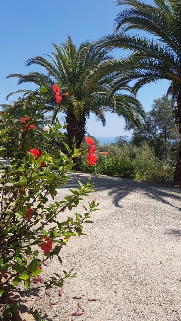 Solenzara- 5 Personnes Vue Dans Avec Piscine *