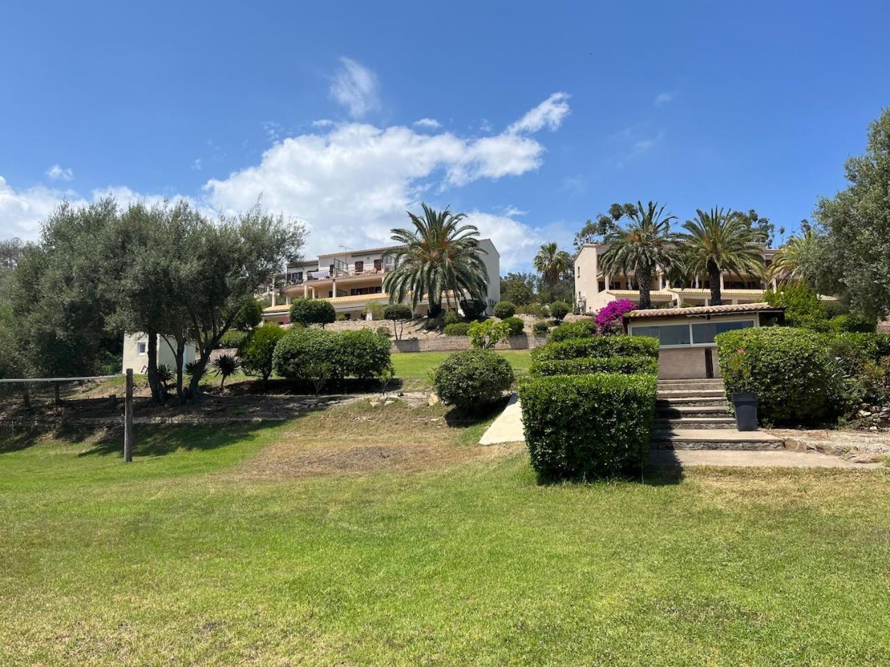 Apartment Solenzara- 5 Personnes Vue Dans Avec Piscine