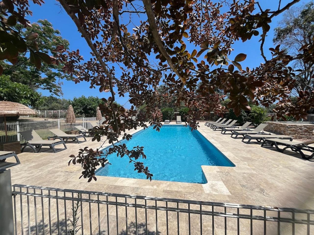 Apartment Solenzara- 5 Personnes Vue Dans Avec Piscine *